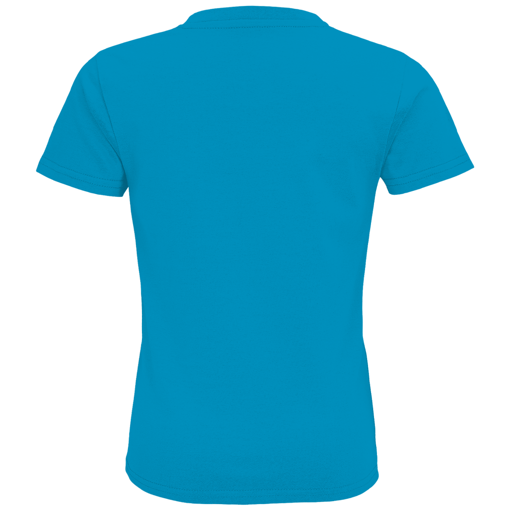 Aqua - back
